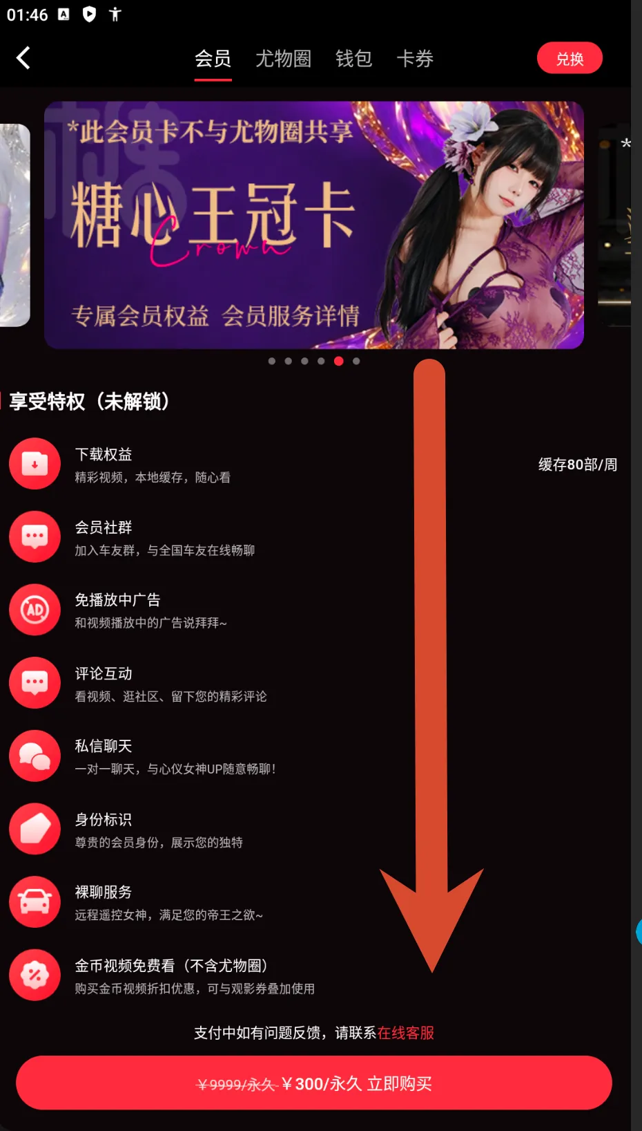 糖心Vlog皇冠会员卡价格截图